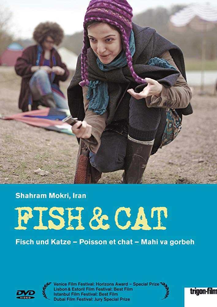   ماهی و گربه  